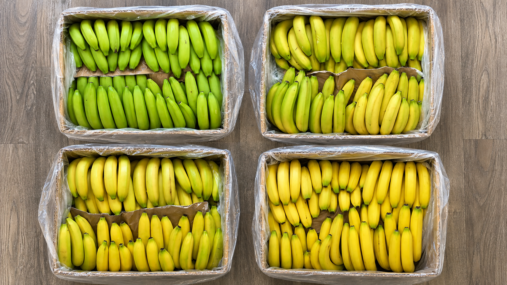 Fruit Produces Industries.png